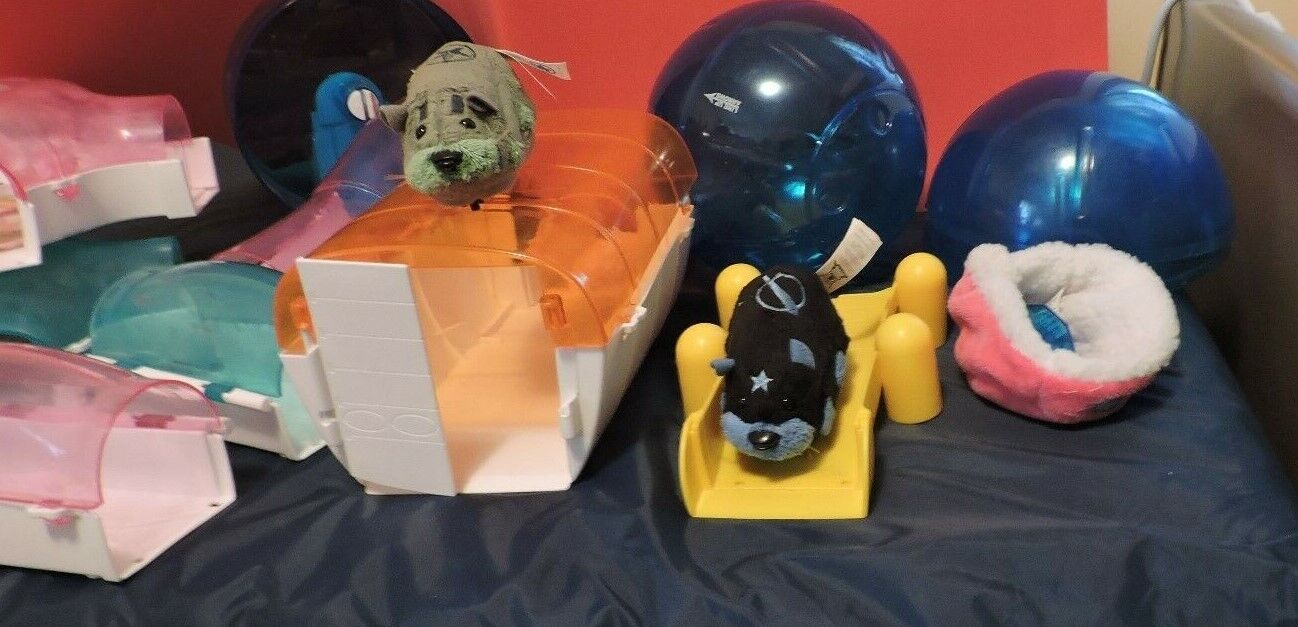 Lot of 10+ pieces: zhuzhu  PET HAMSTER