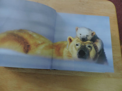BABY ANIMALS--CUBE BOOK 2004