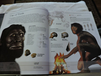 THE HUMAN BODY: A FAMILY REFERENCE GUIDE  2012