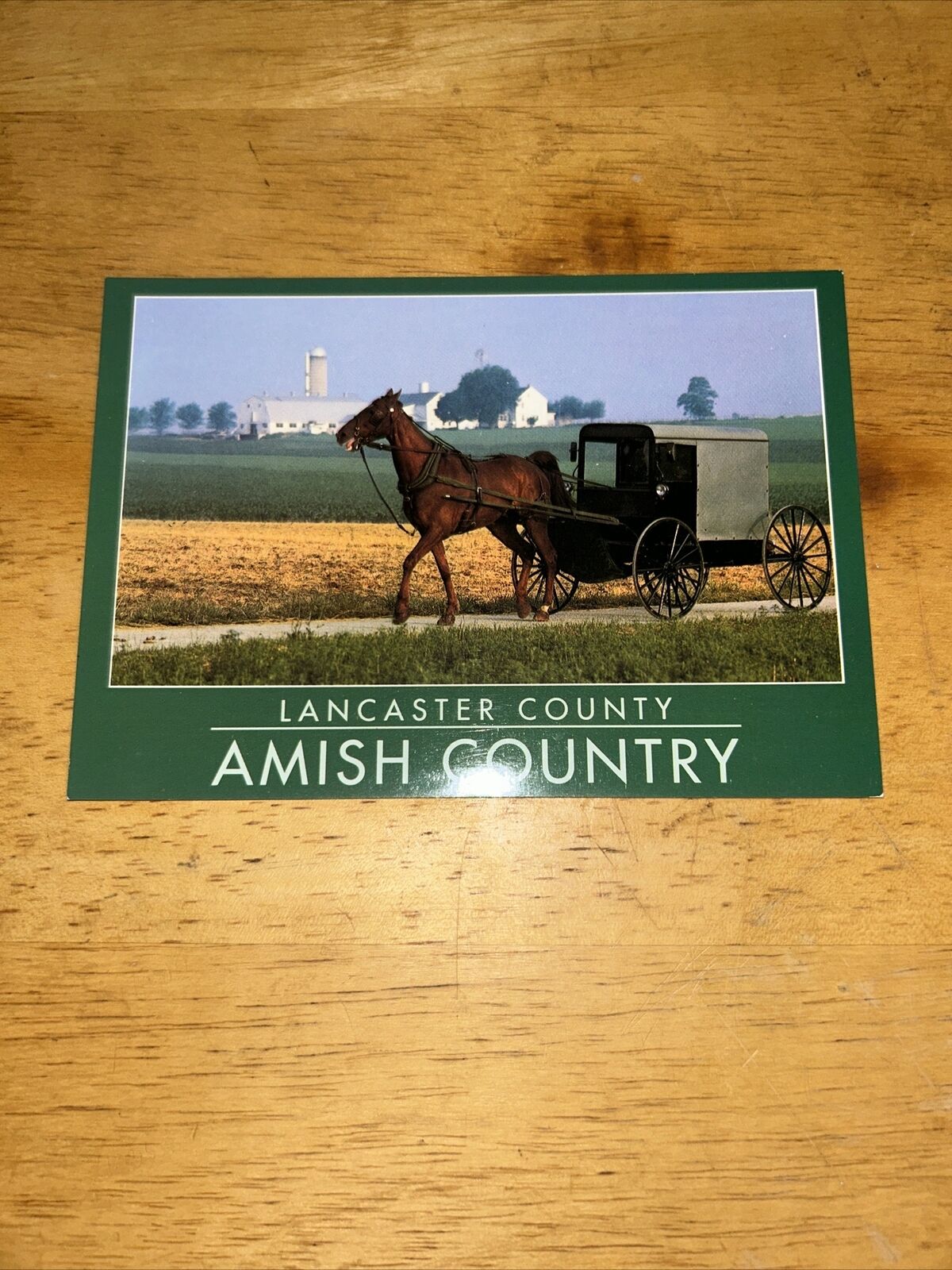 Postcard Unposted: Greetings From the Amish Country Lancaster County: BUGGY