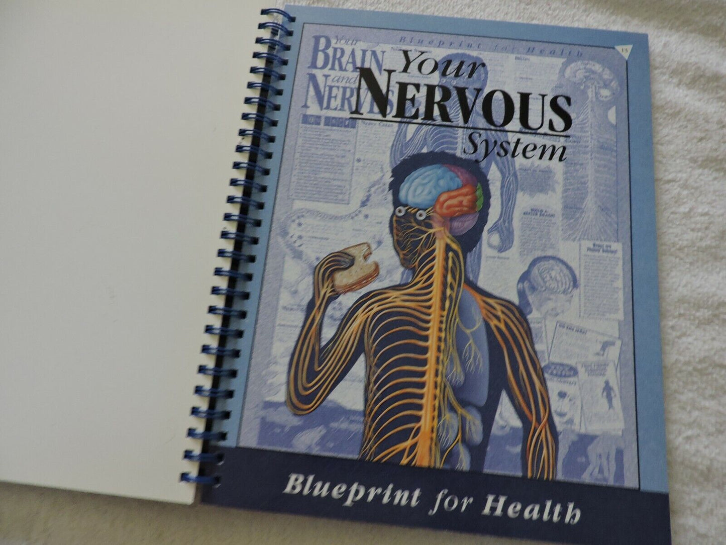 AN ILLUSTRATED ADVENTURE IN HUMAN ANATOMY KATE SWEENEY, 1996