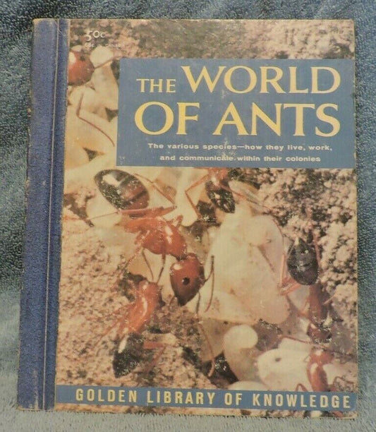 The World of Ants Childrens Book