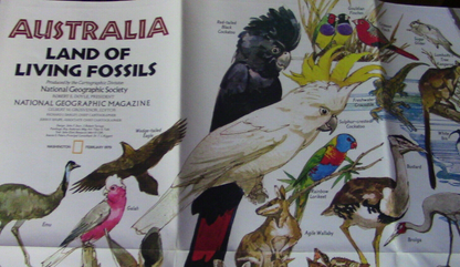 The National Geographic Magazine Map of Australia (Land of the Living Fossils)