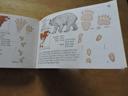 Track Finder : A Guide to Mammal Tracks of Eastern North America by Dorcas S....