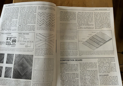 POPULAR SCIENCE WOODWORKER'S GUIDE TO BASICS--1984
