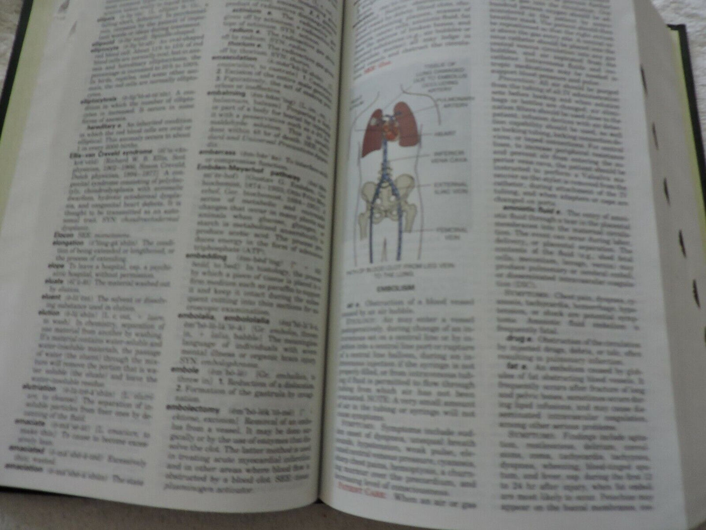 TABER'S CYCLOPEDIC MEDICAL DICTIONARY 20  (F. A. DAVIS) 2001