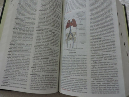 TABER'S CYCLOPEDIC MEDICAL DICTIONARY 20  (F. A. DAVIS) 2001