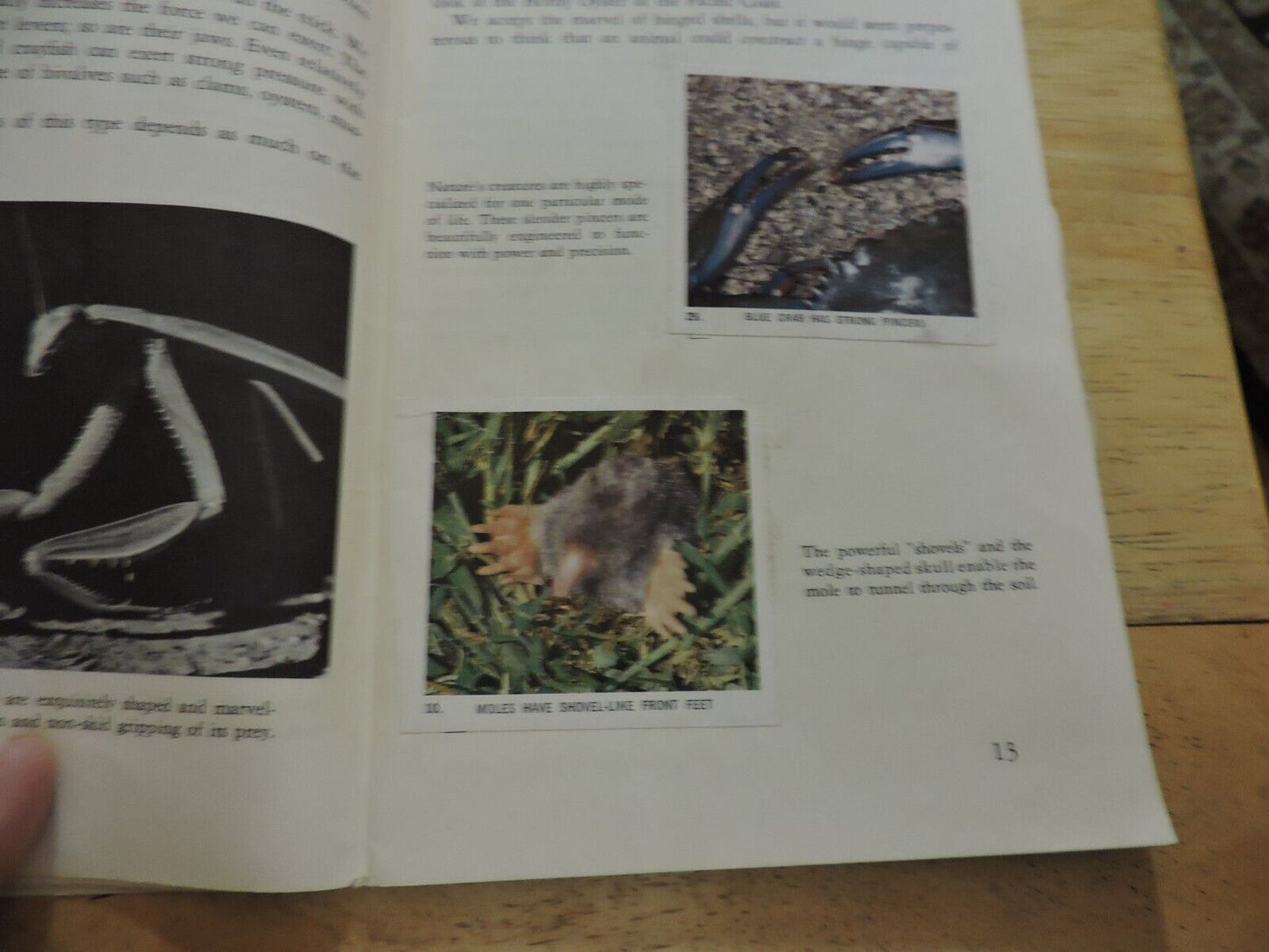 NATIONAL AUDUBON SOCIETY: NATURE PROGRAM, INVENTIONS IN NATURE 1959