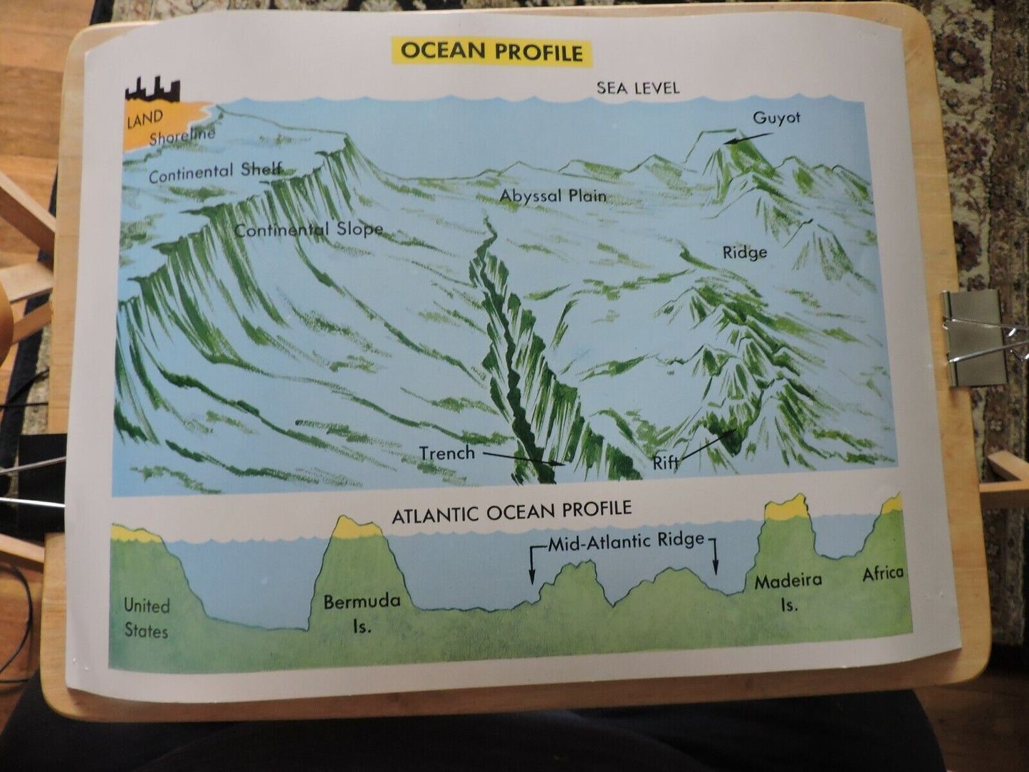 Ocean Profile Educational Poster