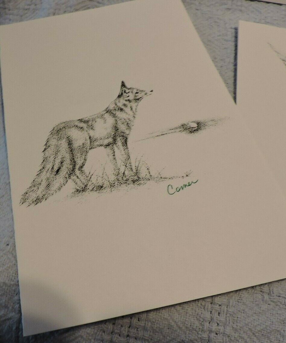 SET OF BEAUTIFUL ARTIST SIGNED  CARDS-ROBIN COMER
