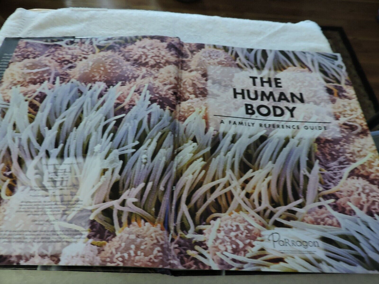 THE HUMAN BODY: A FAMILY REFERENCE GUIDE  2012