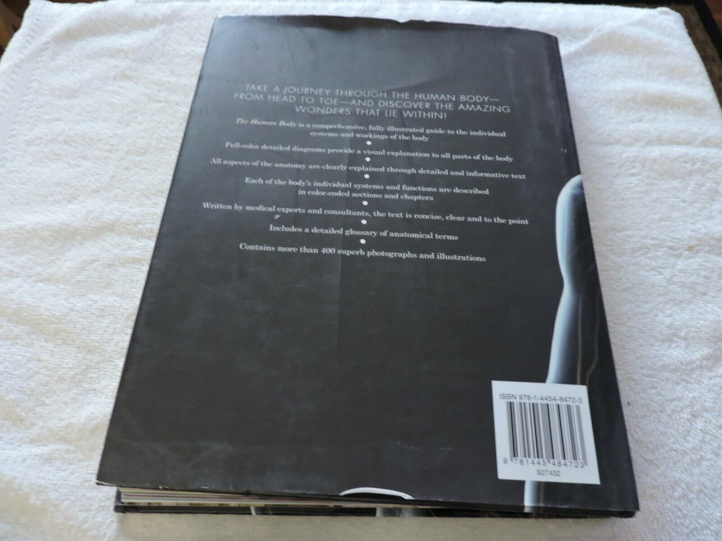 THE HUMAN BODY: A FAMILY REFERENCE GUIDE  2012