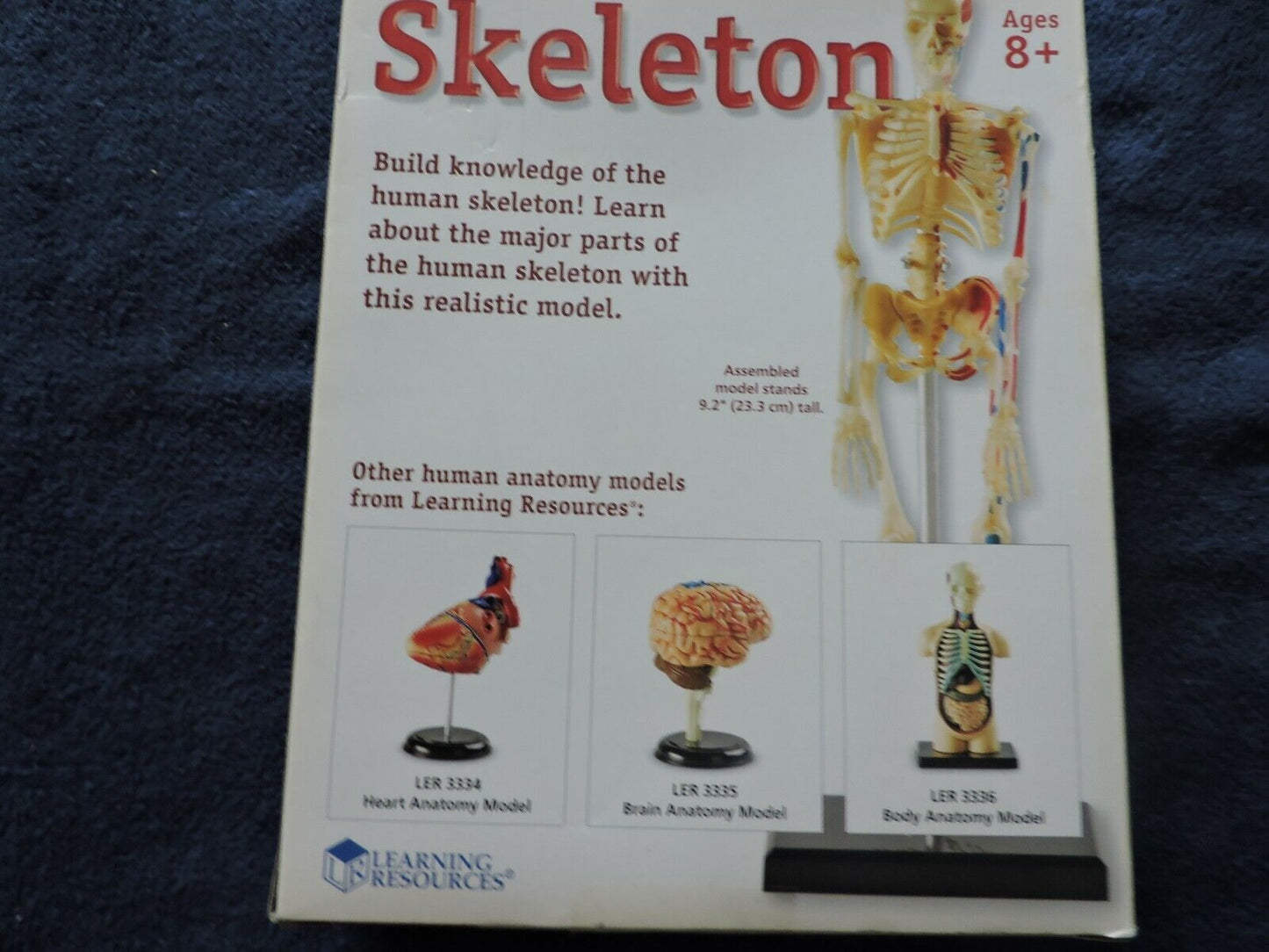HUMAN ANATOMY MODEL 41 PIECE NIB--AGES 8+