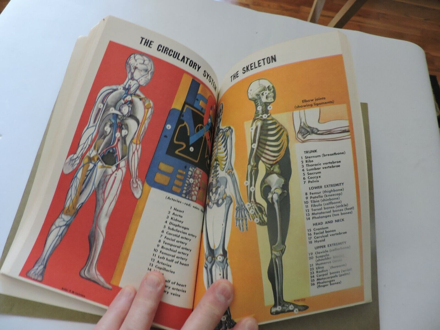 FIRST AID FOURTH EDITION, THE AMERICAN RED CROSS, 1957
