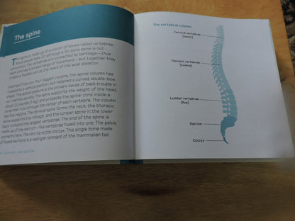 THE HUMAN BODY IN MINUTES BY TOM JACKSON 2020