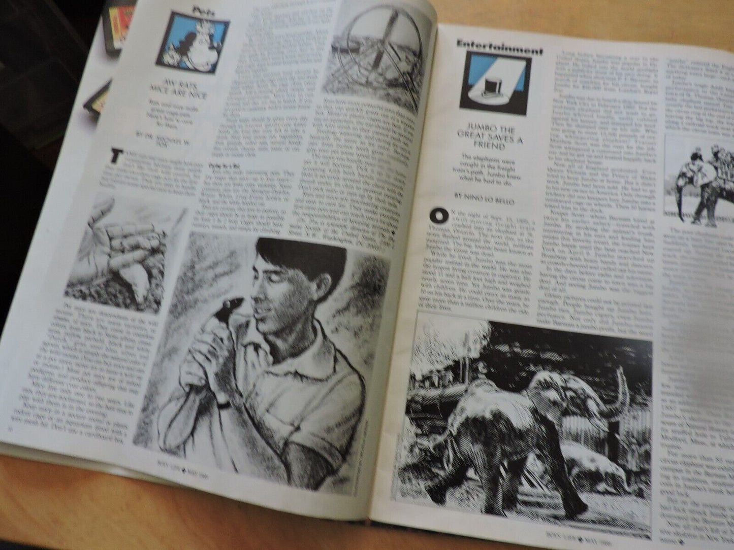 BOYS' LIFE MAGAZINE: MAY 1989 MOUNTAIN BIKING THE SIERRAS