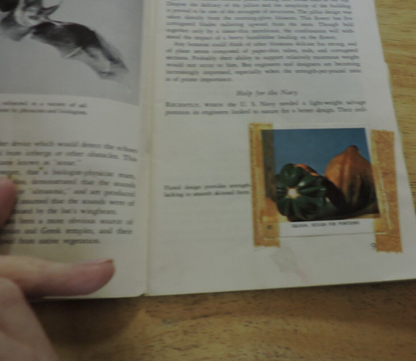 NATIONAL AUDUBON SOCIETY: NATURE PROGRAM, INVENTIONS IN NATURE 1959
