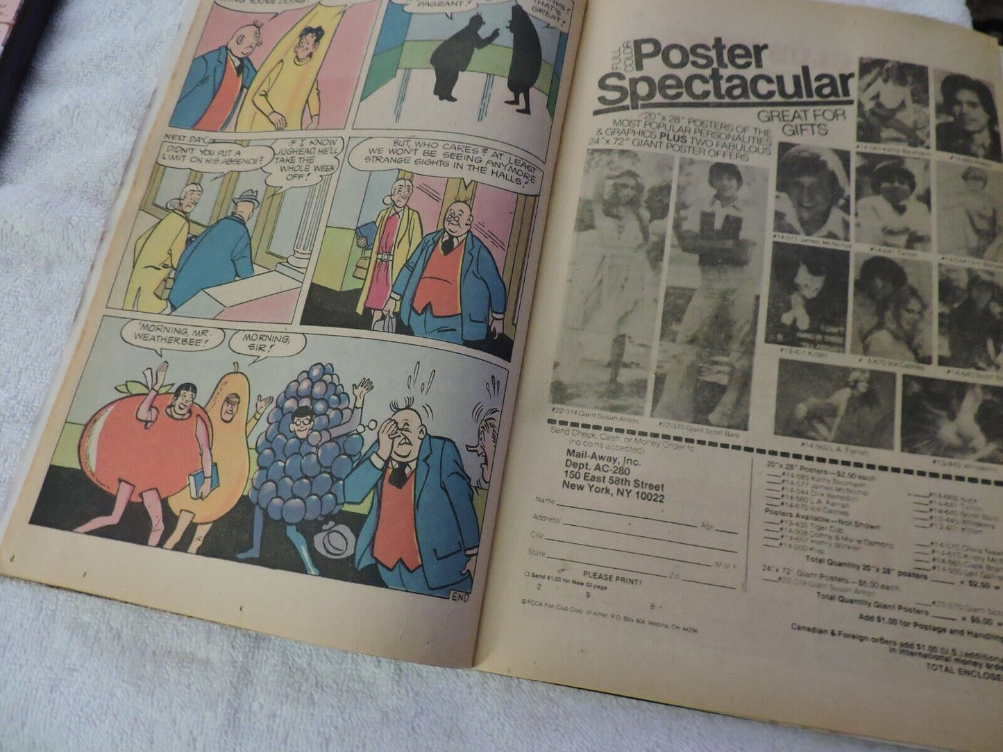 THE WORLD OF JUGHEAD #493  APRIL 1980  UNGRADED