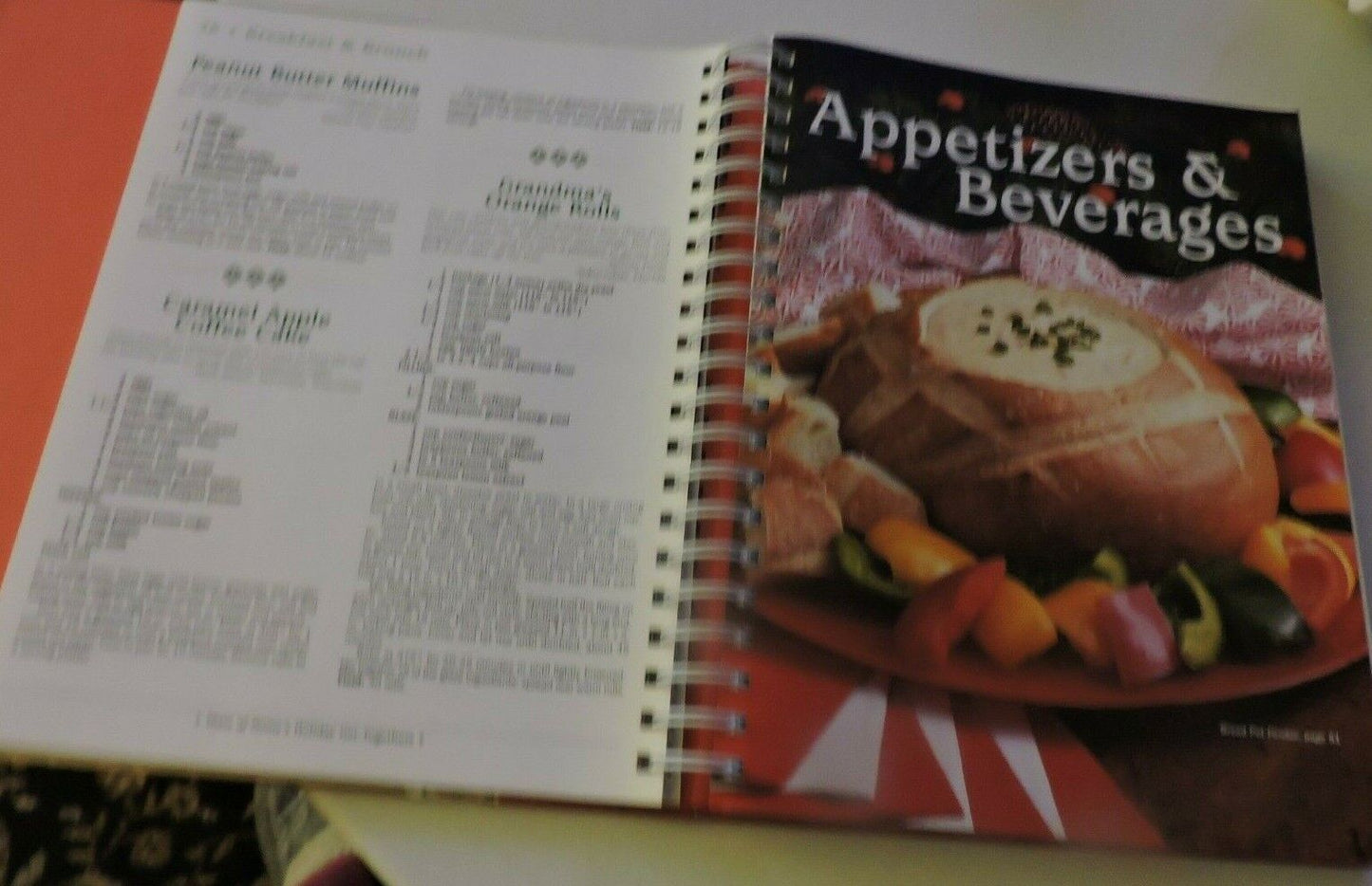 TASTE OF HOME'S HOLIDAY GET-TOGETHERS 2006  540 FESTIVE RECIPES