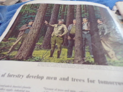 Boys' Life: May 1956 Edition