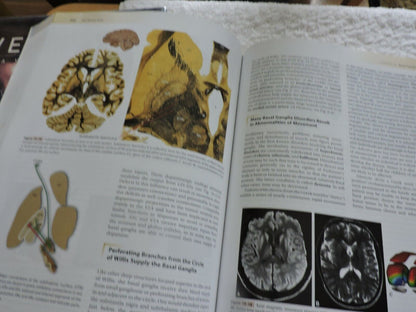 THE HUMAN BRAIN AN INTRODUCTION TO ITS FUNCTIONAL ANATOMY 2009 JOHN NOLTE