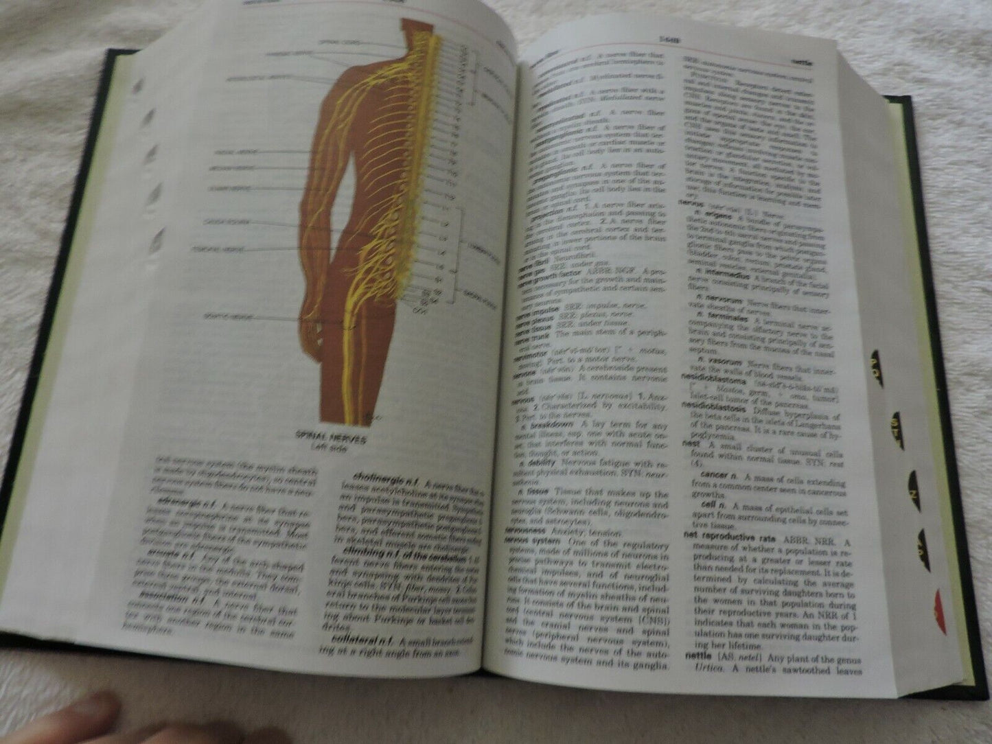 TABER'S CYCLOPEDIC MEDICAL DICTIONARY 20  (F. A. DAVIS) 2001