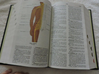 TABER'S CYCLOPEDIC MEDICAL DICTIONARY 20  (F. A. DAVIS) 2001