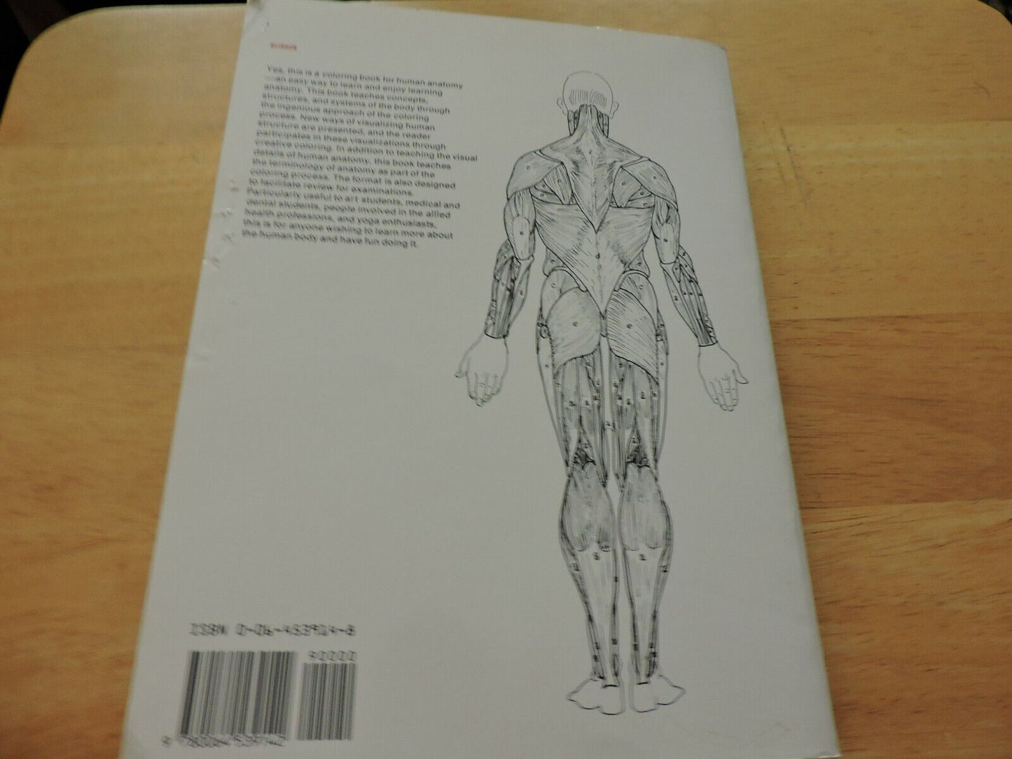 THE ANATOMY COLORING BOOK BY WYNN KAPIT/LAWRENCE M. ELSON 1977