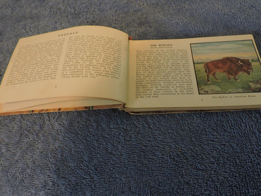 Indians of America Mini-Info Book