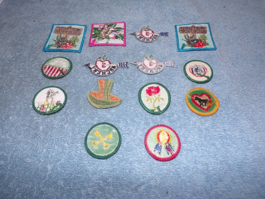 Girl Scout Activity Patches Lot of 14 including Archery, Photography etc.