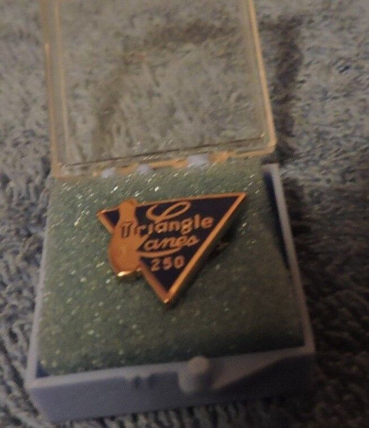 Vintage Triangle Lanes "250" Lapel Pin
