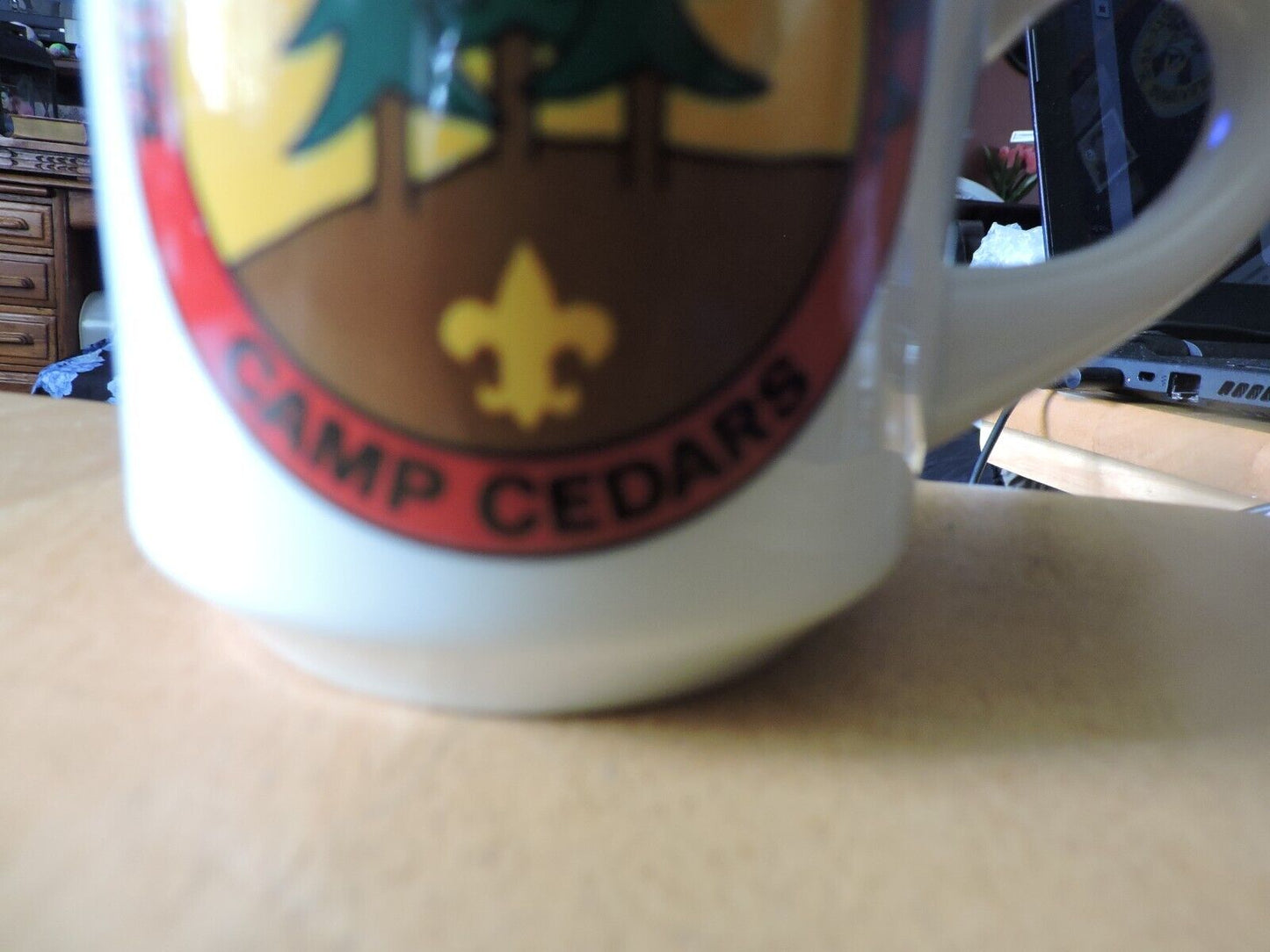MID AMERICA COUNCIL BSA CAMP CEDARS MUG