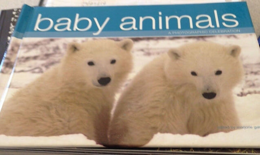BABY ANIMALS