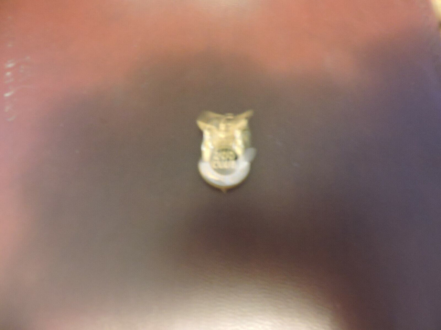 Shawnee Village 200 Club Lapel Pin