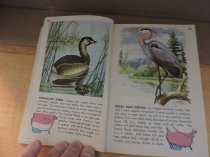 BIRDS  A GUIDE TO THE MOST FAMILIAR AMERICAN BIRDS 1956