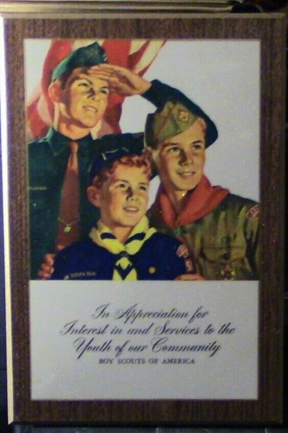 BSA/Boy Scouts: 70's "In Appreciation Plaque"