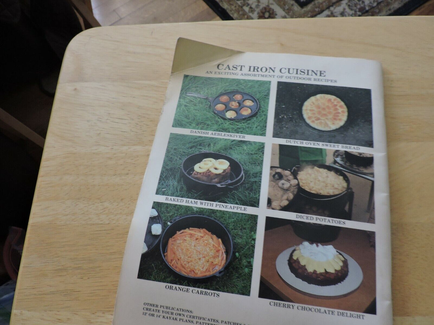 CAST IRON CRUISINE EXCITING ASSORTMENT OF OUTDOOR RECIPES 1990 USED