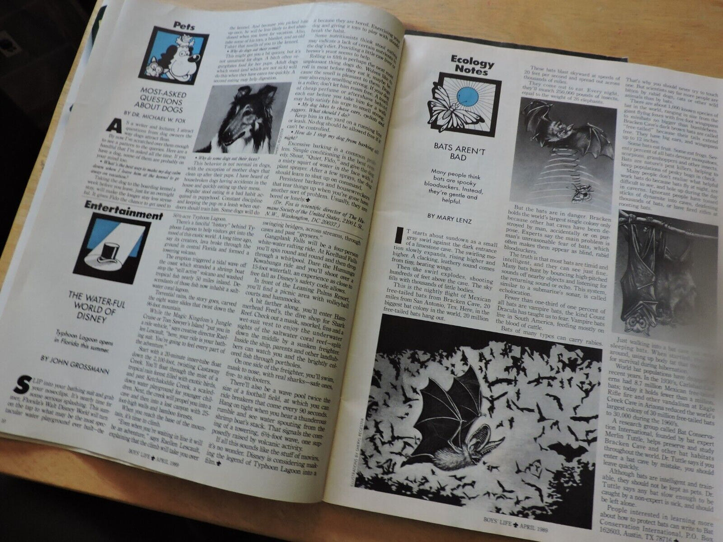 BOYS' LIFE MAGAZINE: APRIL 1989 THE SLY FISH OF INDIAN RIVER