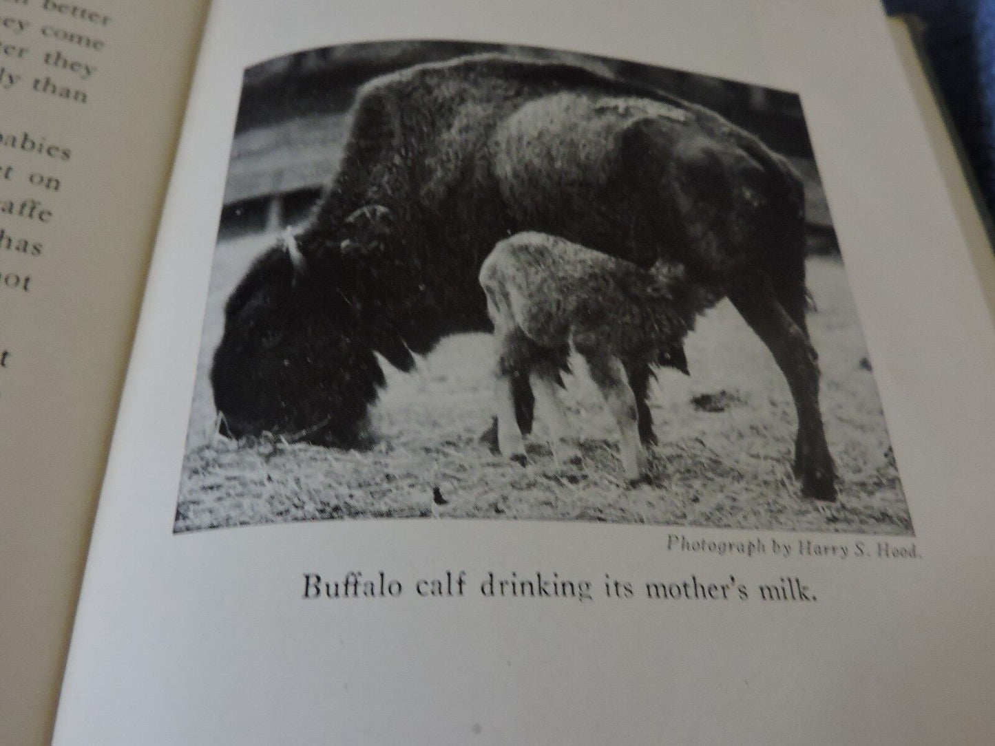 Growing Up by Karl De Schweinitz 1944 Printing (How we become alive)