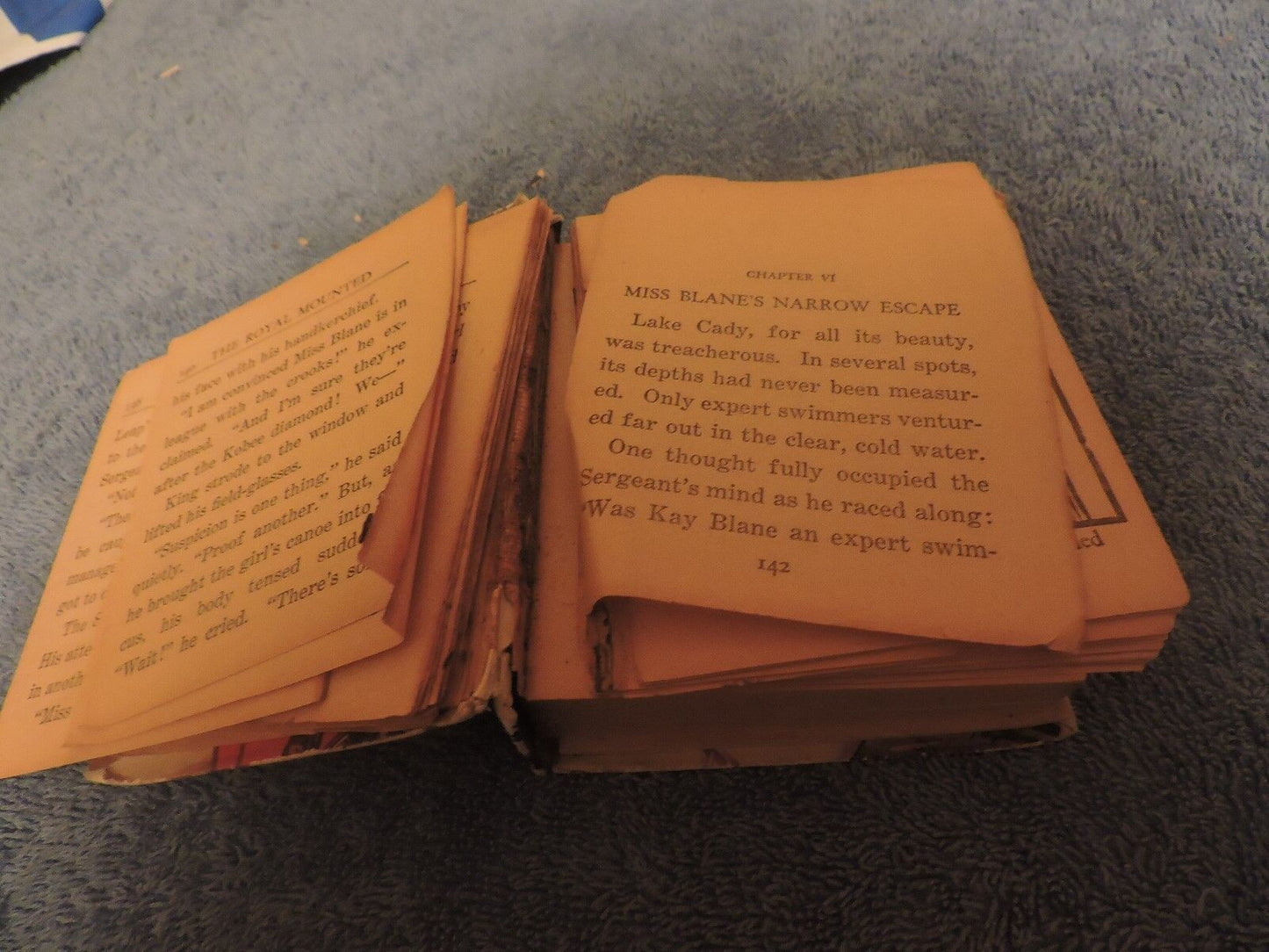 King of the Royal Mounted  Mini Book