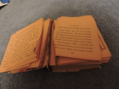 King of the Royal Mounted  Mini Book
