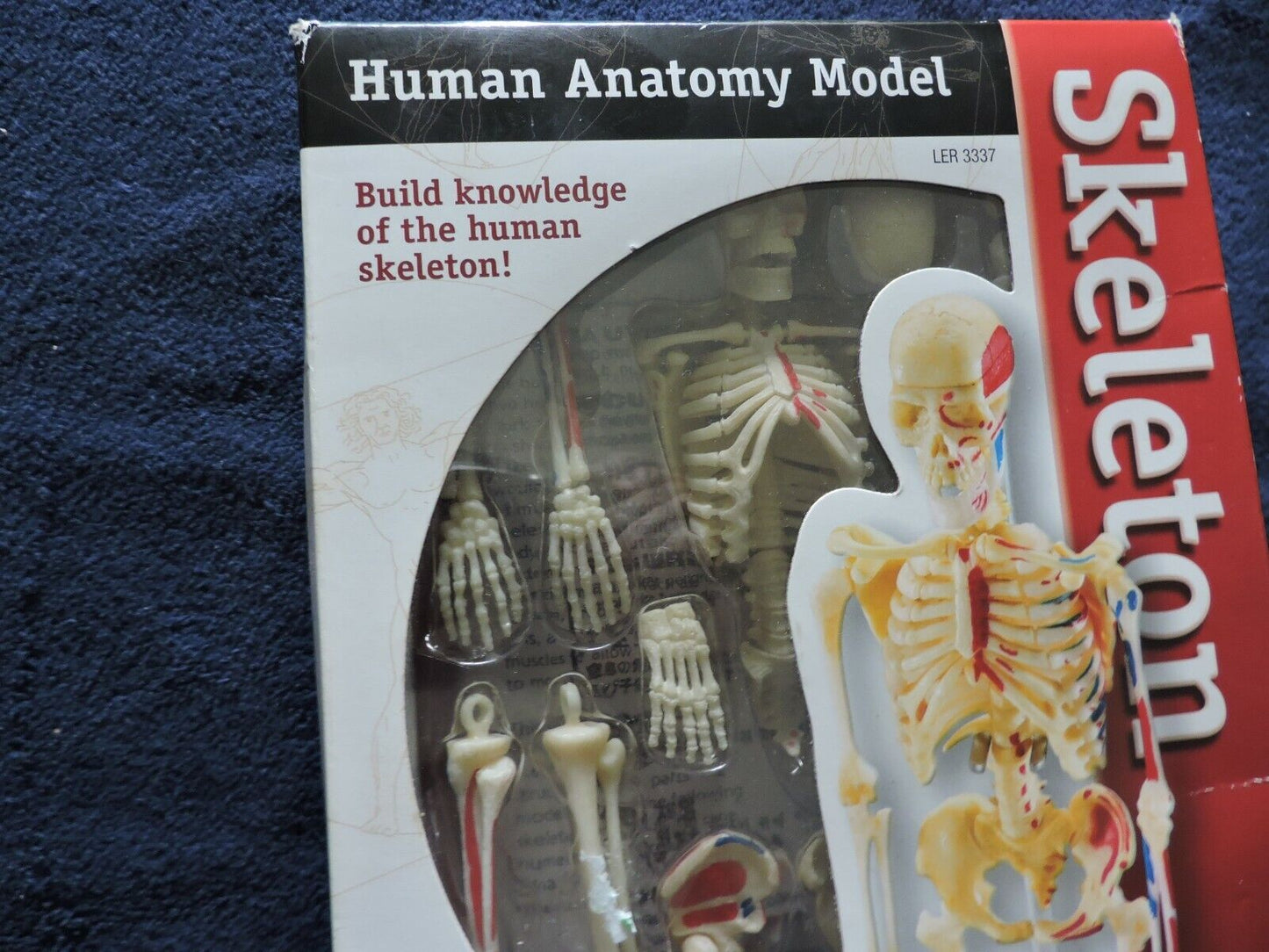 HUMAN ANATOMY MODEL 41 PIECE NIB--AGES 8+