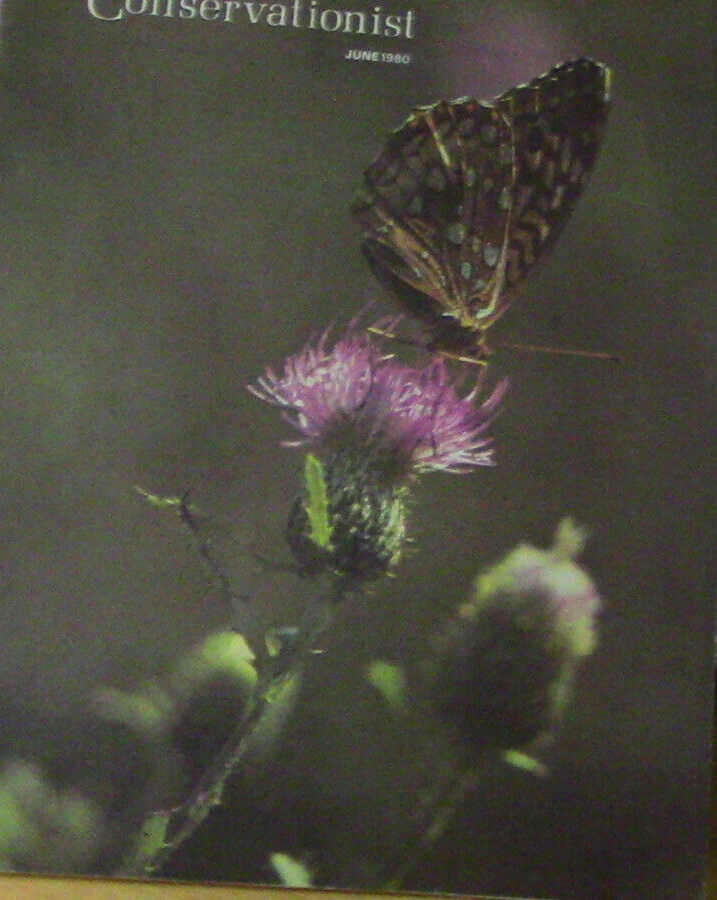 Missouri Conservationist June 1980 Magazine