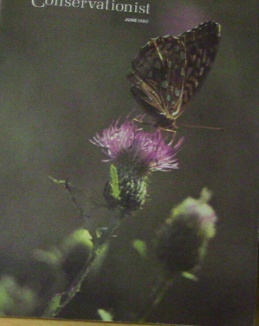 Missouri Conservationist June 1980 Magazine