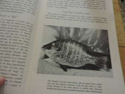 NATIONAL AUDUBON SOCIETY: NATURE PROGRAM, POND LIFE 1958