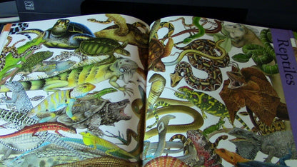 Encyclopedia of Animals (2007 Printing) Colorful Pictures
