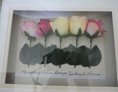 Framed Botanical Artwork by Holly Meade-Garden Motif