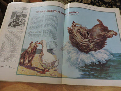 The Saturday Evening Post  JAN/FEB 1975