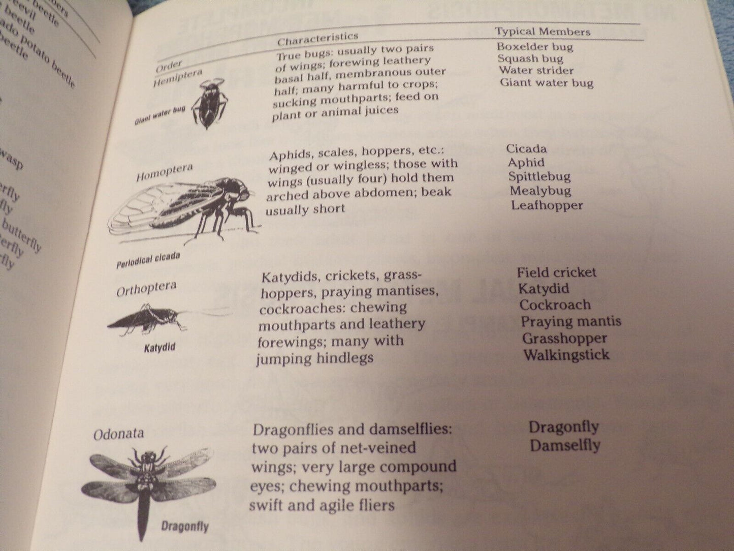 Insect Study: BSA Merit Badge Series Book 1987 Printing