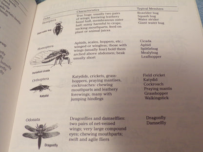 Insect Study: BSA Merit Badge Series Book 1987 Printing